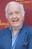 photo Chuck McCann (voz)