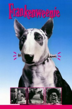 poster Frankenweenie  (1984)